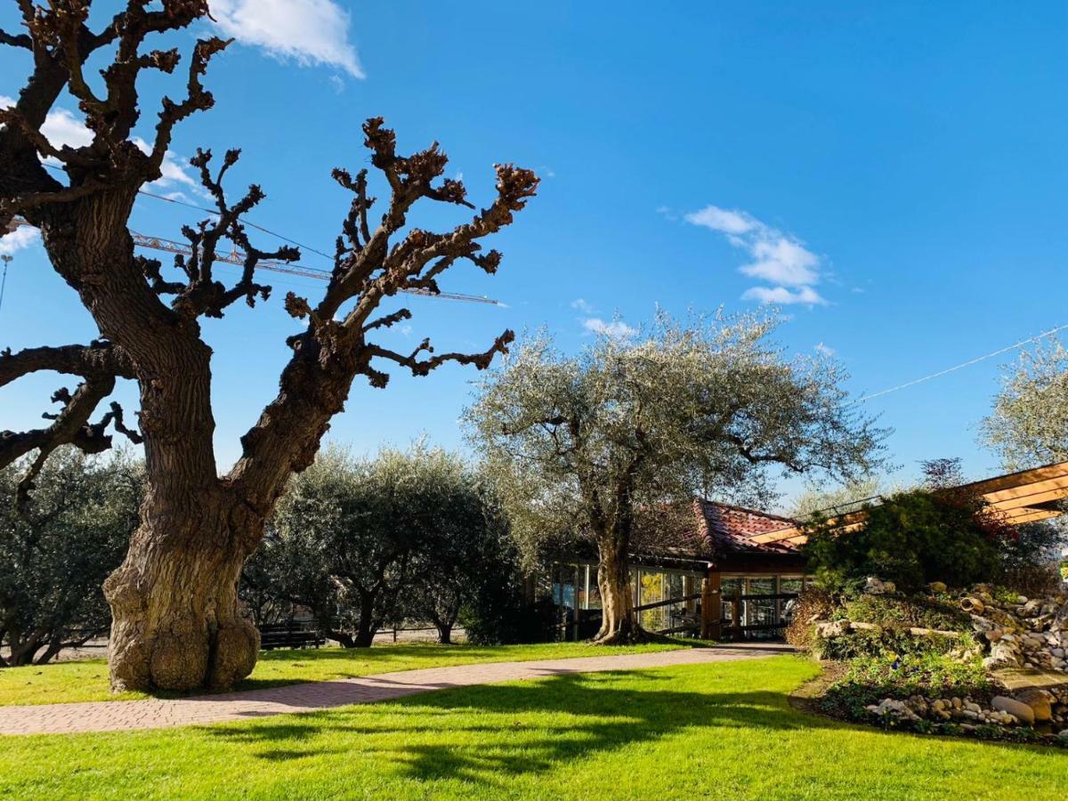 Agriturismo Le Tese Colà Eksteriør billede